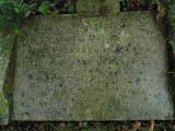 image of grave number 520031
